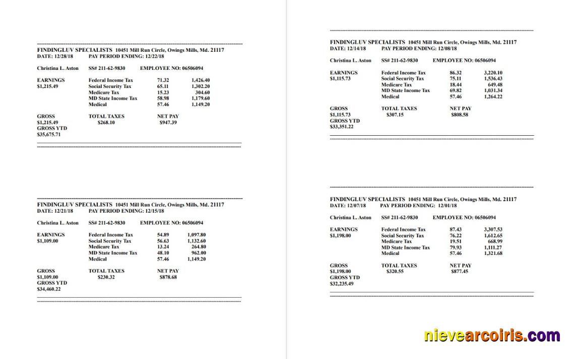 Findingluv specialits company pay stub